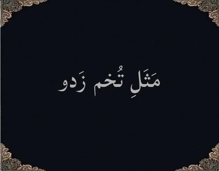 مَثَلِ تُخم زَدو